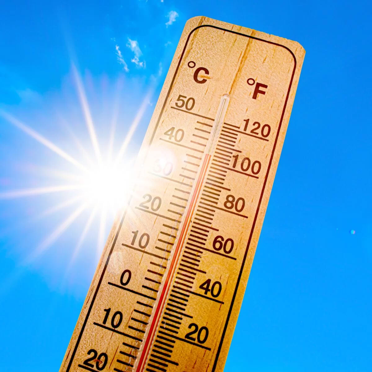 canicule-quels-sont-les-departements-ou-il-va-faire-le-plus-chaud-cette-semaine.webp